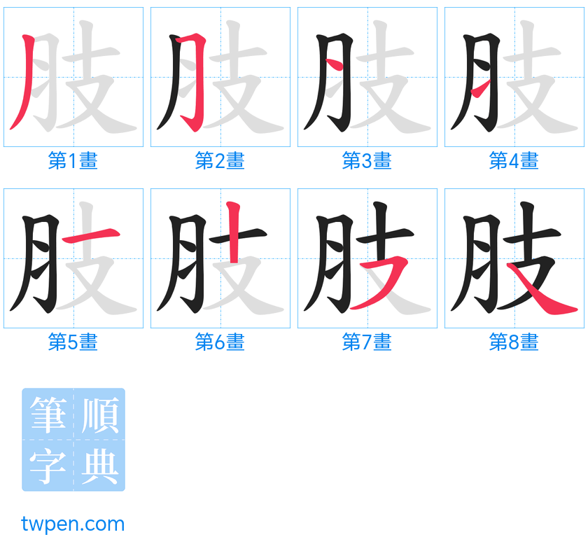 “「肢」的筆畫”