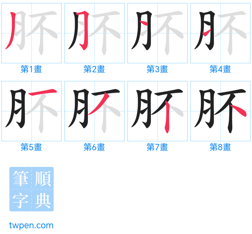 “「肧」的筆畫”