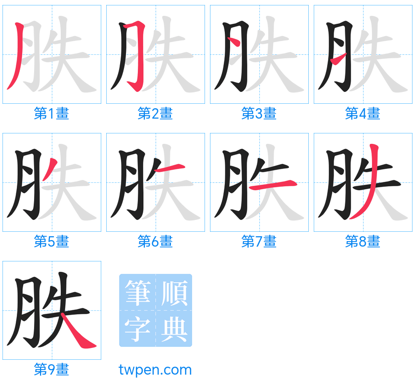 “「胅」的筆畫”