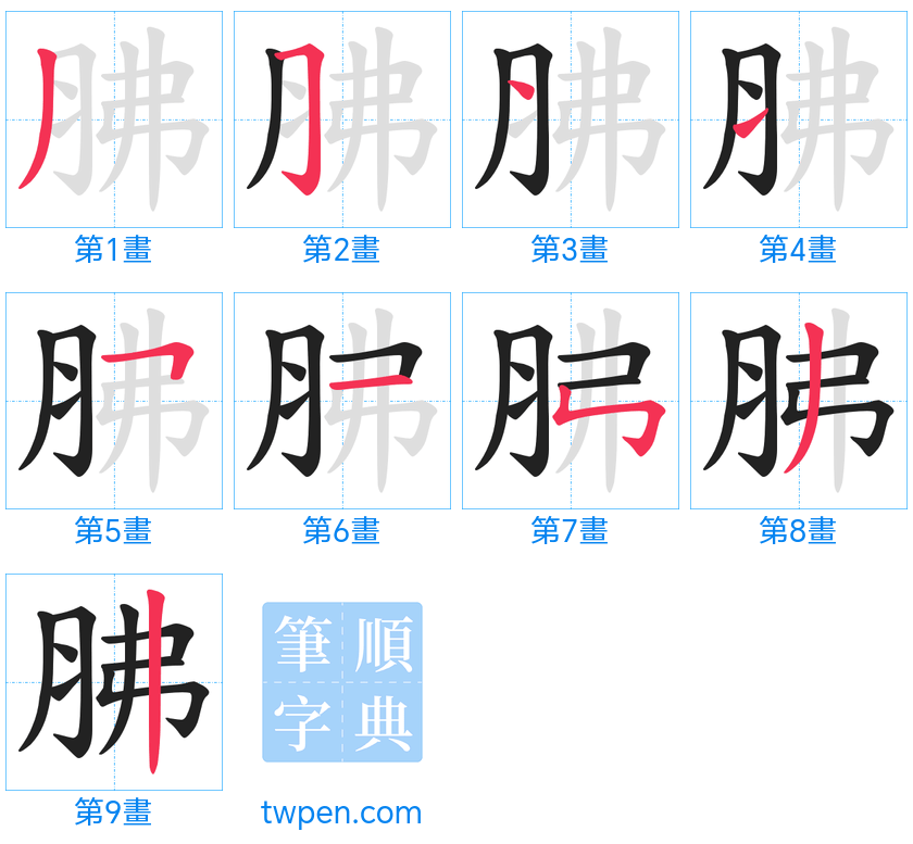 “「胇」的筆畫”