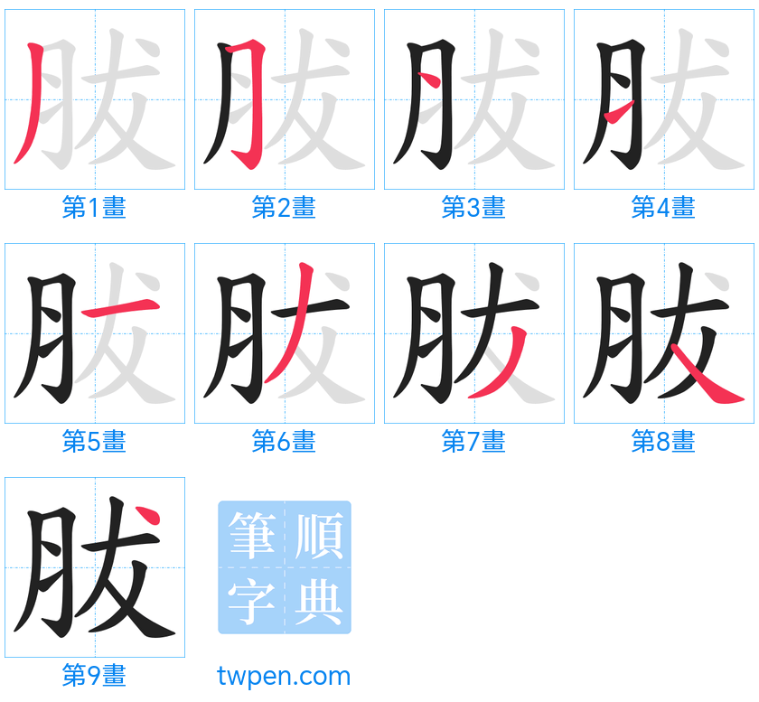 “「胈」的筆畫”