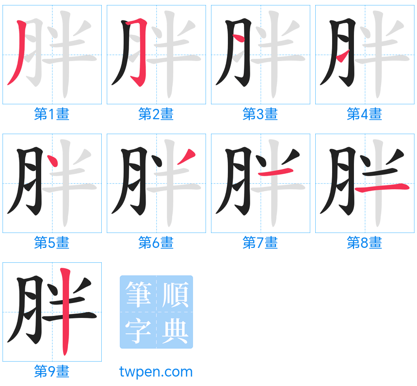 “「胖」的筆畫”