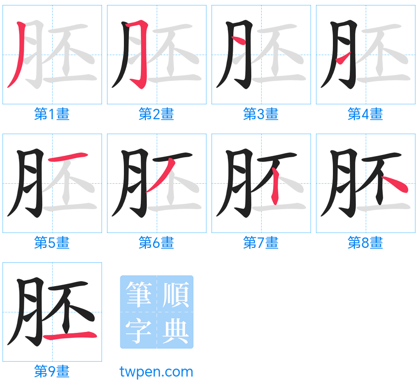 “「胚」的筆畫”